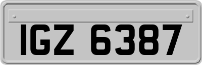 IGZ6387