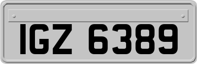 IGZ6389