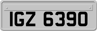 IGZ6390