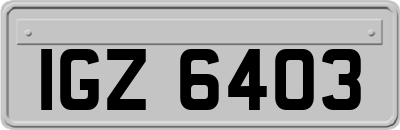 IGZ6403