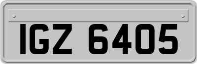 IGZ6405