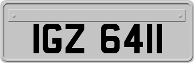 IGZ6411