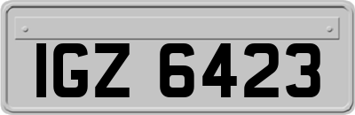 IGZ6423
