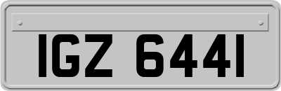 IGZ6441