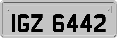 IGZ6442