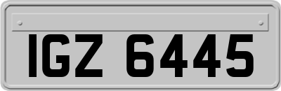 IGZ6445