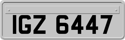 IGZ6447