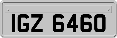 IGZ6460