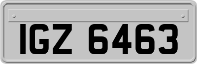 IGZ6463