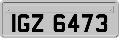IGZ6473
