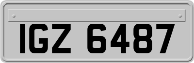 IGZ6487