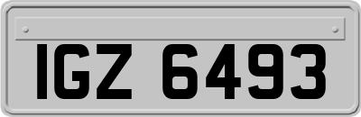 IGZ6493