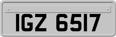 IGZ6517