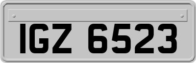 IGZ6523
