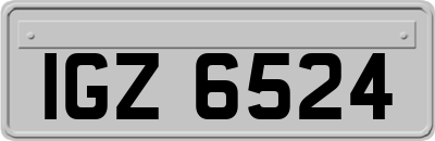 IGZ6524