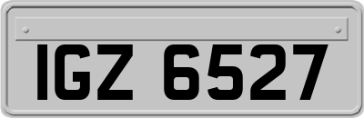 IGZ6527