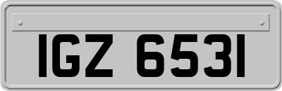 IGZ6531