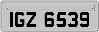 IGZ6539