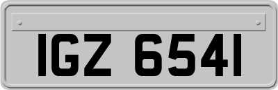 IGZ6541