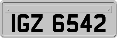 IGZ6542