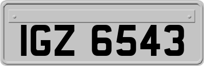 IGZ6543