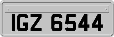 IGZ6544