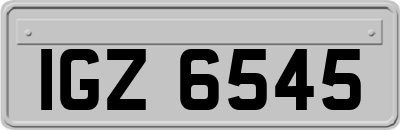 IGZ6545
