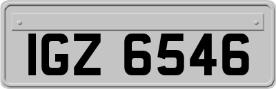IGZ6546