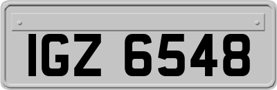 IGZ6548