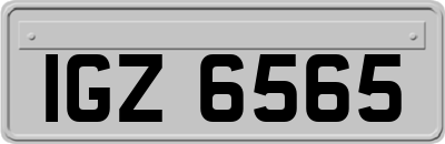 IGZ6565