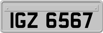 IGZ6567