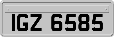 IGZ6585