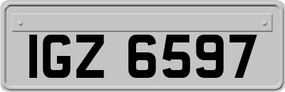 IGZ6597