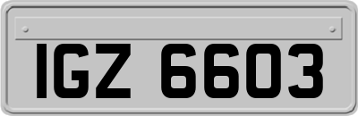 IGZ6603