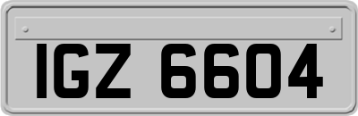 IGZ6604