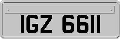 IGZ6611