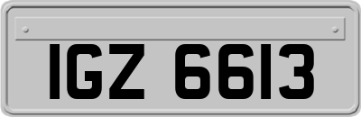 IGZ6613
