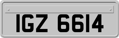IGZ6614