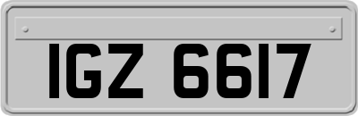 IGZ6617