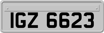 IGZ6623