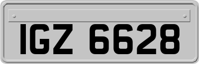 IGZ6628