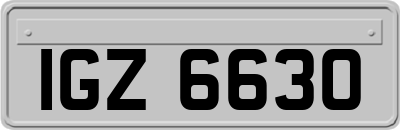 IGZ6630
