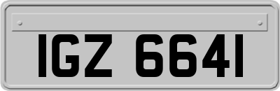 IGZ6641