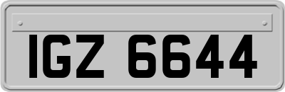 IGZ6644