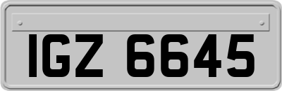 IGZ6645
