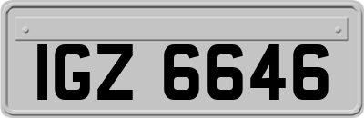 IGZ6646