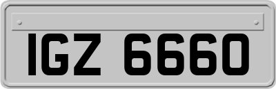 IGZ6660