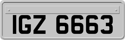 IGZ6663