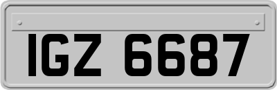 IGZ6687