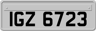 IGZ6723